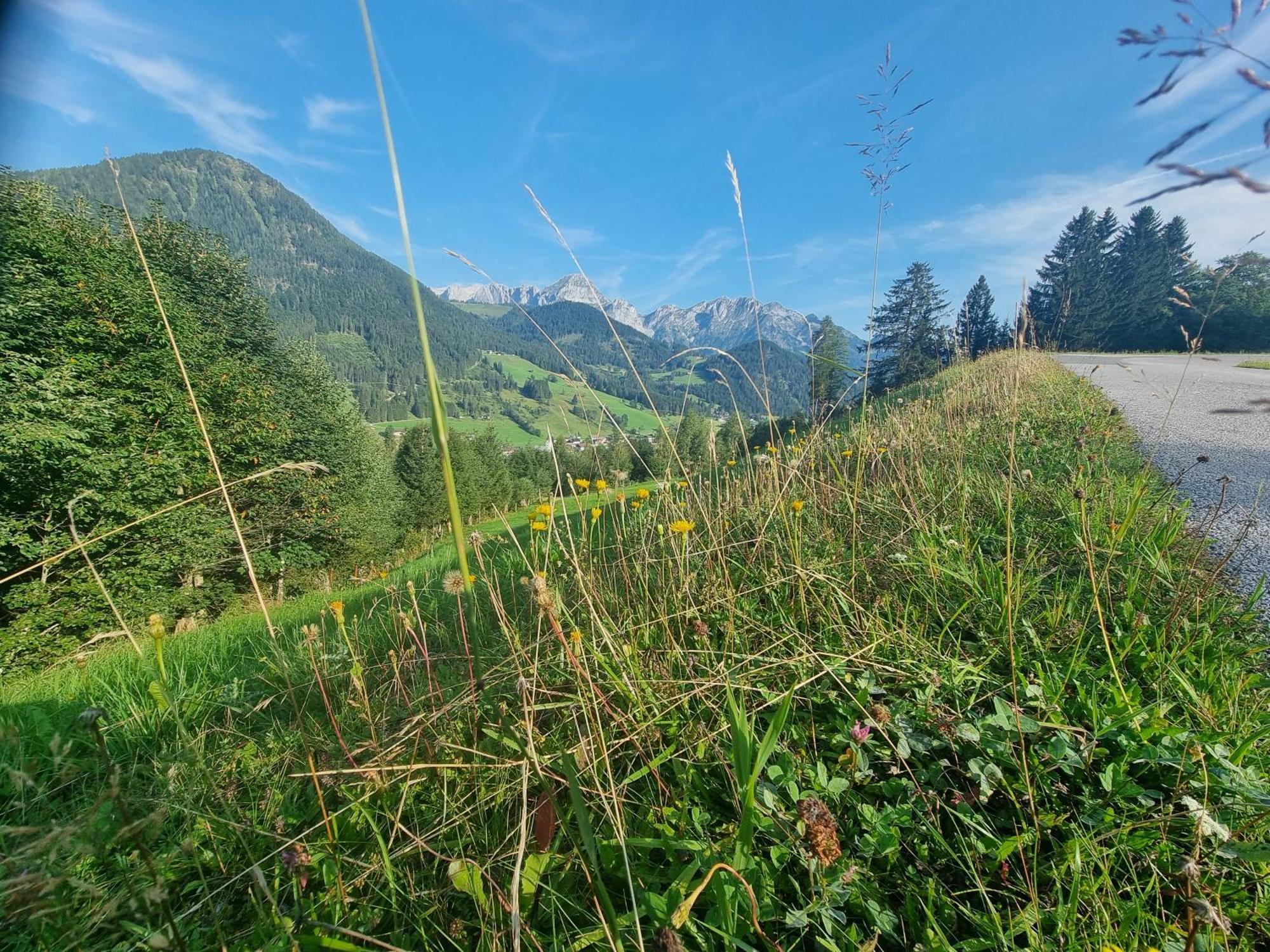 Bed and Breakfast Buttermilchalm Sankt Martin am Tennengebirge Exterior foto